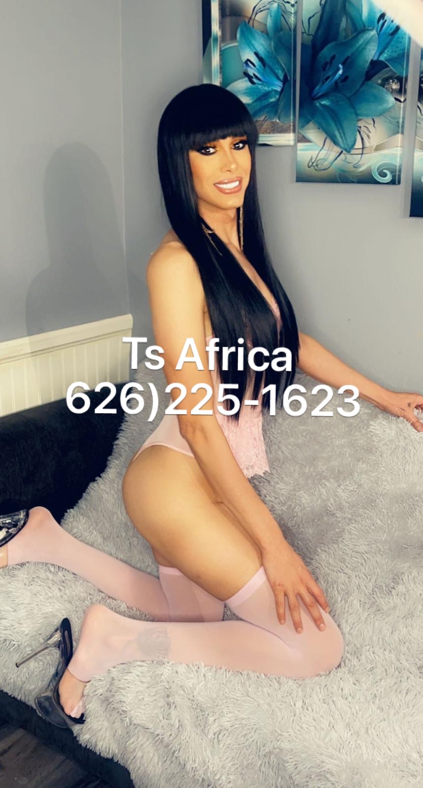 Ready visiting Now Escorts