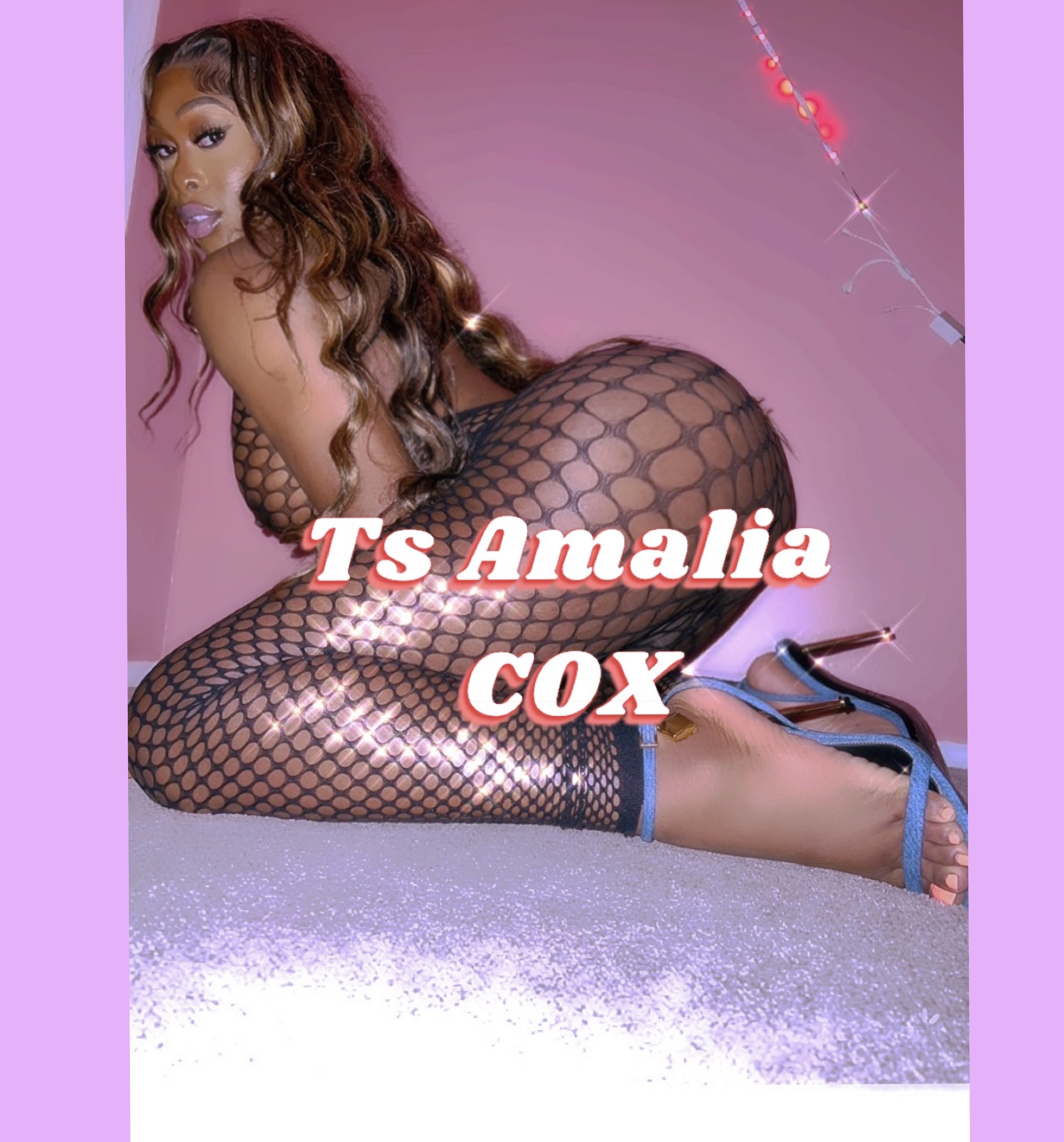 Amalia TS COX | 9144348720 | Escorts in New York | VibeCity